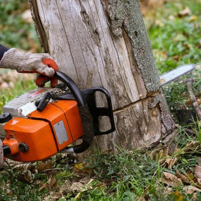 tree-removal